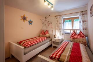 Apartment Landhaus Mühlau in Tirol - Erpfendorf - 1