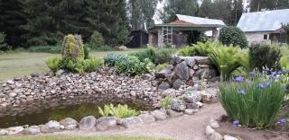 Metsjärve kämpingumajake - 3