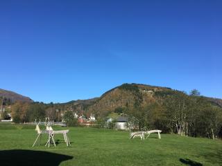 Voss- Myrkdalen Lodge - Vossestrand - 6