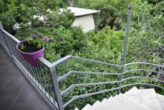 4BD Appartaments with cozy garden - Tbilisi - 6
