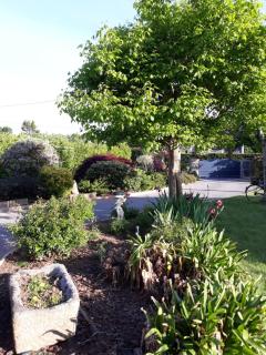 Chambre dans jolie demeure - 5