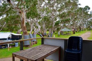 Bimbi Park - Camping Under Koalas - 7