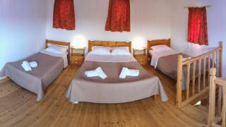 Green Farm-small paradise! - 6