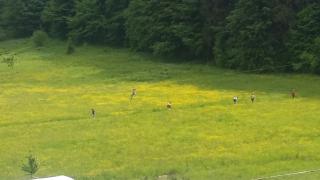 Pensiunea Poiana Soarelui - 9