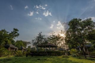 Camp Serai Tiger TADOBA - Chandrapur - 9