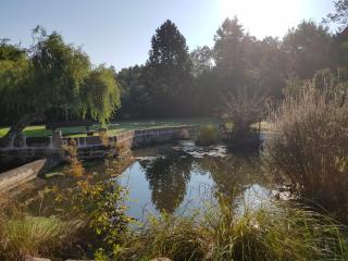 ILMHOFpension - Bad Berka - 1