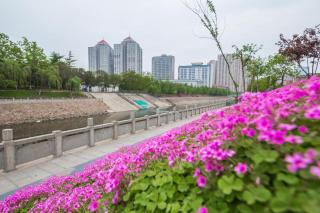 Local Boutique Homestay (Zhengzhou Jincheng Times Square) - 5