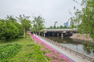 Local Boutique Homestay (Zhengzhou Jincheng Times Square) - 1