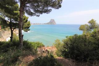 AMAN128 - Calpe - 1