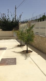 Alcamo Marina Residence - Alcamo Marina - 3