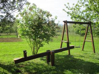 Casa Rural El Jondrigu - Cangas de Onís - 5