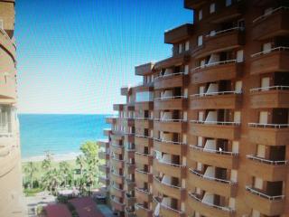 1ª Linea Playa Deluxe Costa Marina - 9
