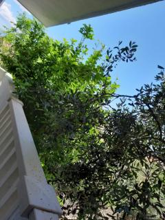 Apartments Duce (122) - Duće - 9