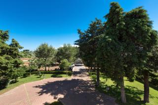 Villa Emary by BarbarHouse - San Vito dei Normanni - 1