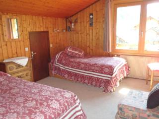 Chalets Pyrene Mont-Blanc - Chamonix - 5