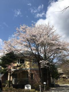 Ikoi - Nikko - 3