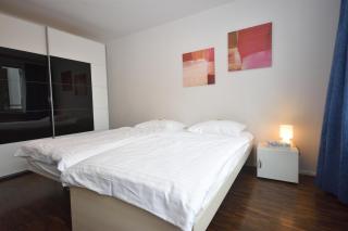 Amazing 2BR near Lake - Flower 33 - Zurigo - 1