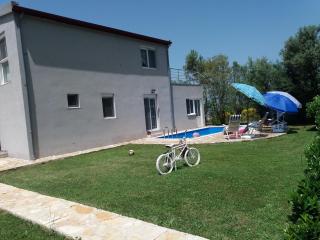 Zelena Maslina - Bar - 1