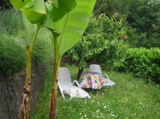 Vacation Home Lucija - Slatina - 3