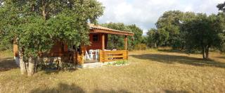 chalet climatisé Porticcio Corse - Fontanaccio - 8