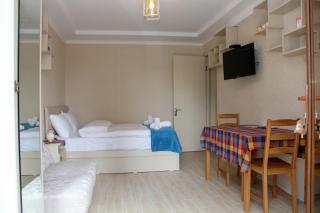 Pearl apartment in Kutaisi - Kutaisi - 9
