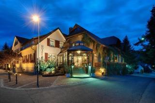 Hotel-Restaurant Adler - 9