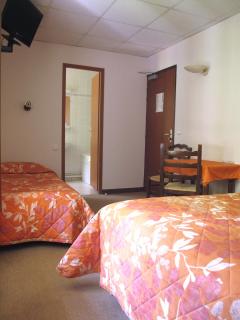 Hotel Restaurant - Acacias Bellevue - Veyrier-du-Lac - 8