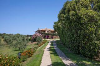 Villa Iris with Pool - Baja Sardinia - 3