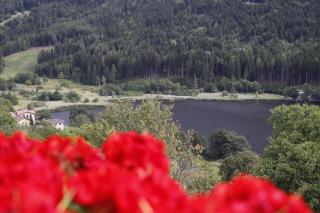 appartamento Dossalt vista lago Serraia a 20 minuti da Trento, wifi e parcheggio gratuiti - Baselga di Pinè - 1