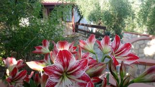Liberato Puglia Vacanze - 4