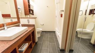 Shepherd Mountain Inn & Suites - Pilot Knob - 9