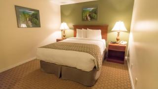 Fort Davidson Hotel - Pilot Knob - 5