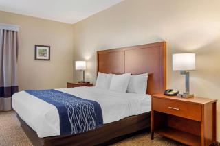 Comfort Inn Douglasville - Atlanta West - Douglasville - 7