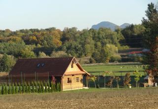 Old Oak House with pool - Maruševec - 1