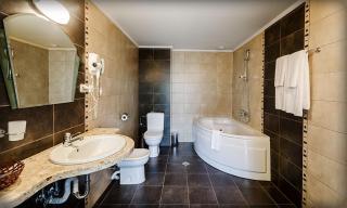 Alliance Hotel - 3