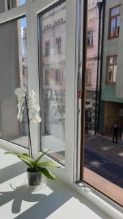 Camino Cesis - Cēsis - 3