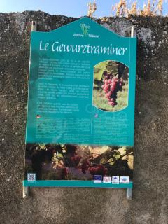 LE MUSCAT - Colmar - 7
