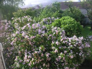 chez Zaza - Stigny - 5