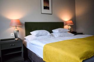 Parkhotel Carlsbad Inn - Karlovy Vary - 8