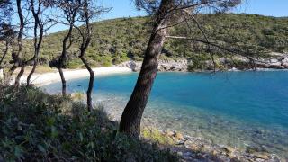 Villa Arancia - Peruški - 7