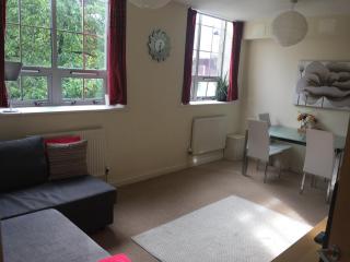 Superb Peaceful 1 bed apartment in St George. - Bristol - 4
