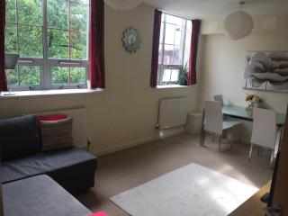 Superb Peaceful 1 bed apartment in St George. - Bristol - 9