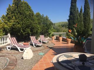Villa de La Rosa - Malaga - 1