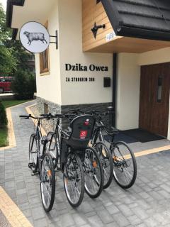 Dzika Owca - Zakopane - 4
