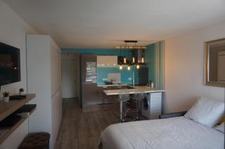 Studio Victoria Surf - Biarritz - 1