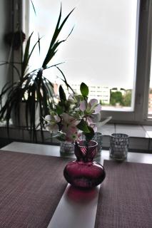 City Apartment Haapaniemenkatu - 3