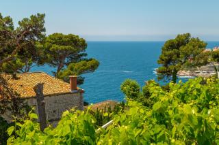 Piece of Heaven with a Million dollar View - Dubrovnik - 9