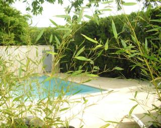 Gîte de charme piscine et SPA en Provence - Méthamis - 5