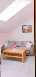 Apartments Nevistic - Tribalj - 8
