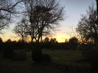 Stemicar dans les Landes - 9